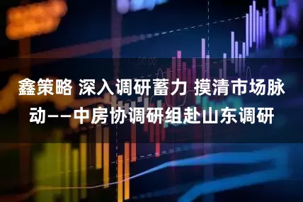 鑫策略 深入调研蓄力 摸清市场脉动——中房协调研组赴山东调研