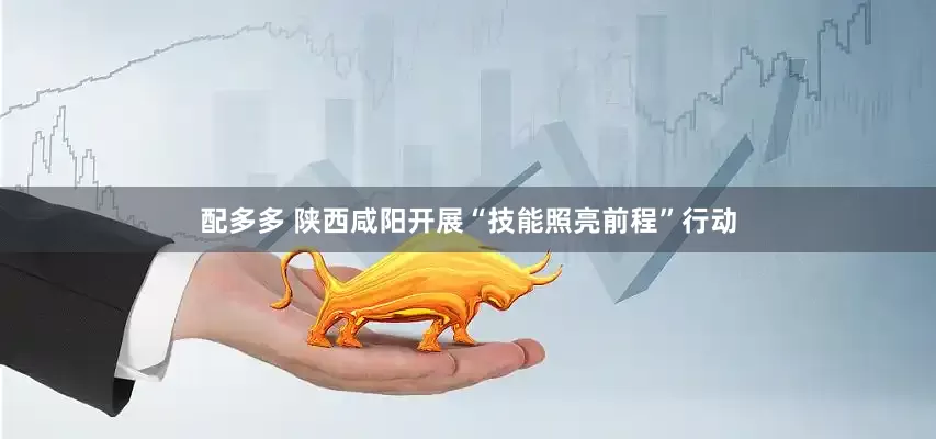 配多多 陕西咸阳开展“技能照亮前程”行动