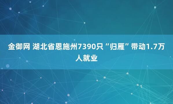 金御网 湖北省恩施州7390只“归雁”带动1.7万人就业