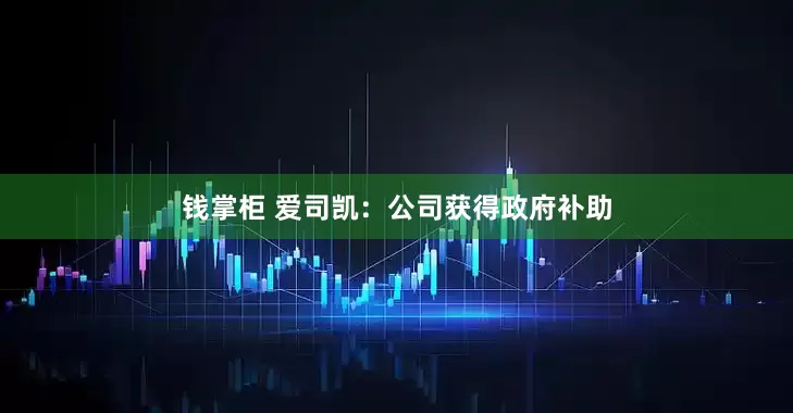钱掌柜 爱司凯：公司获得政府补助