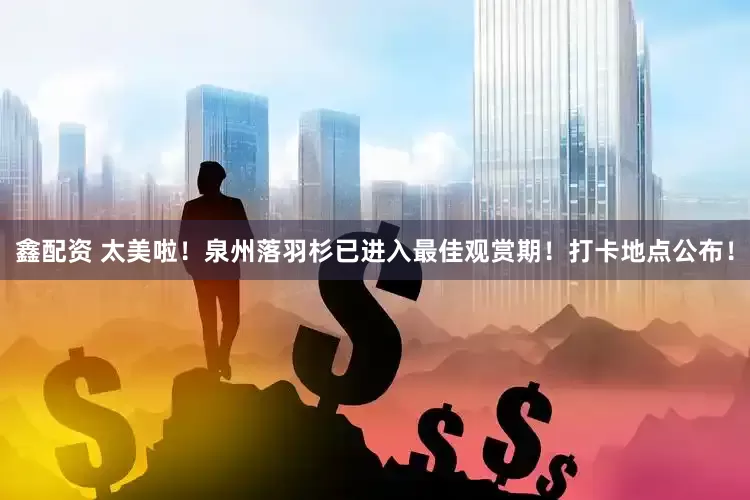 鑫配资 太美啦！泉州落羽杉已进入最佳观赏期！打卡地点公布！